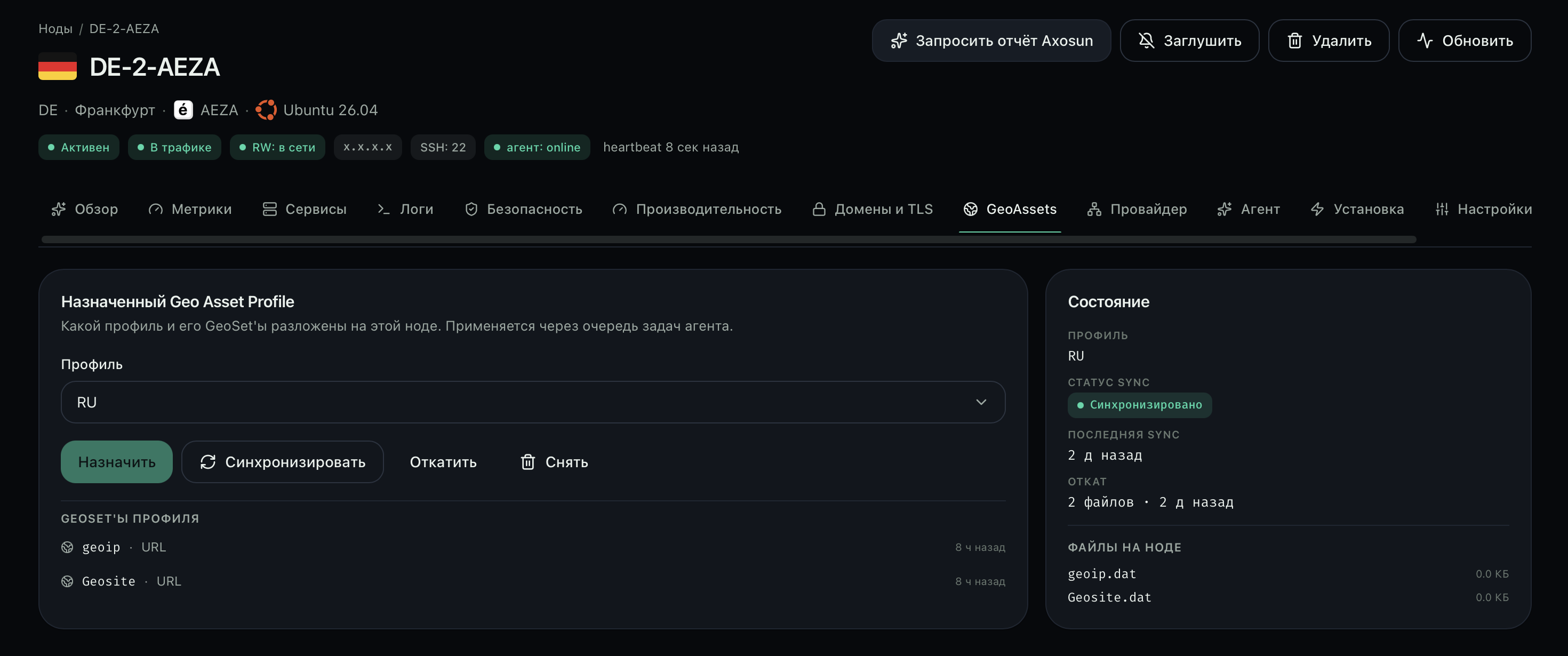 Управление GeoAssets для отдельной ноды Axottle